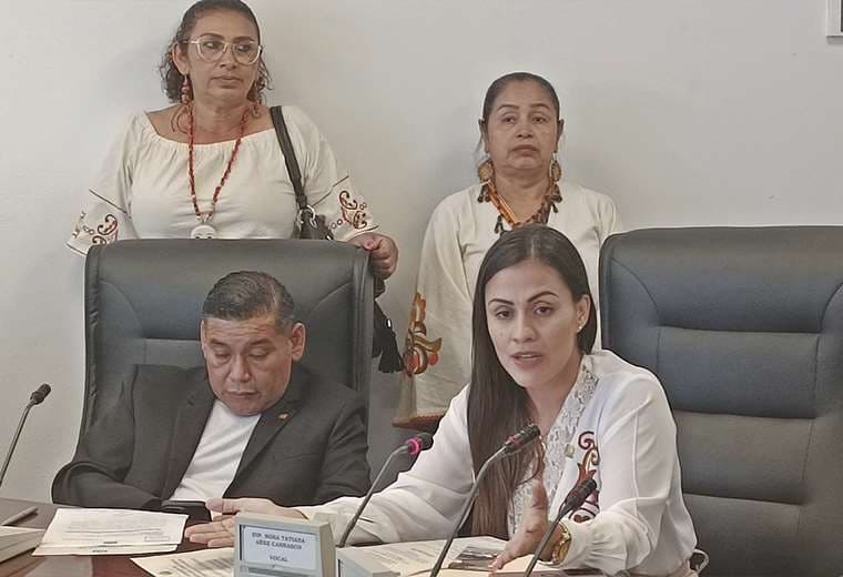 Diputada Álvarez anunció sesión de Diputados en Piso Firme