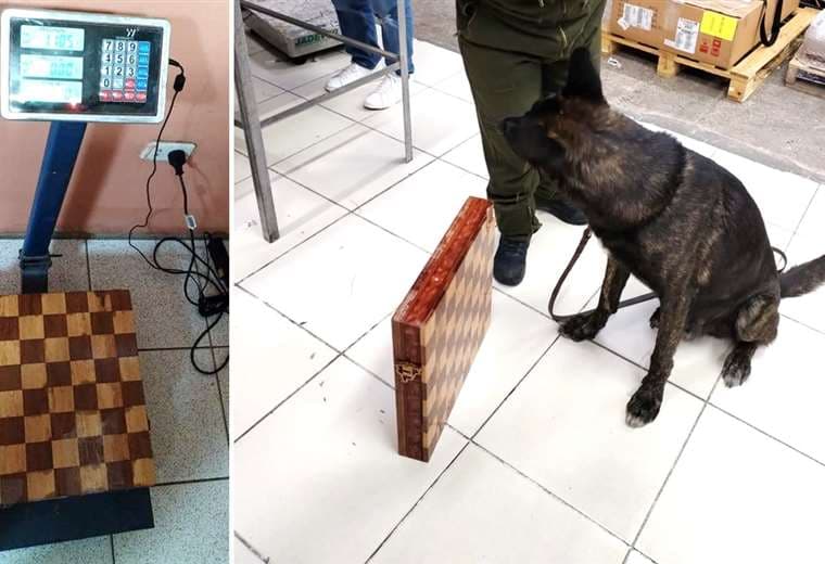 El can adiestrado detectó el tablero de ajedrez que contenía droga/Foto: MinGob.