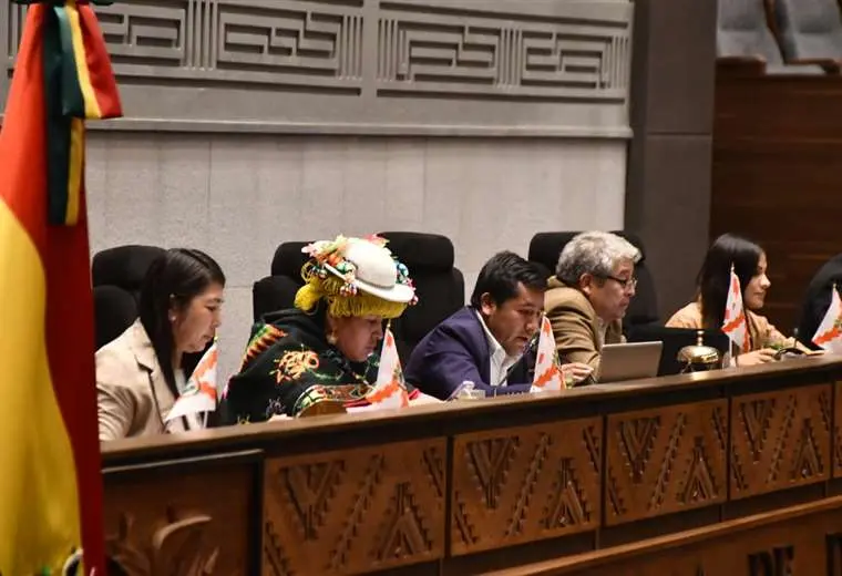 Por falta de acuerdo, Diputados no sesionan y frenan nuevamente la adhesión de Bolivia al Mercosur