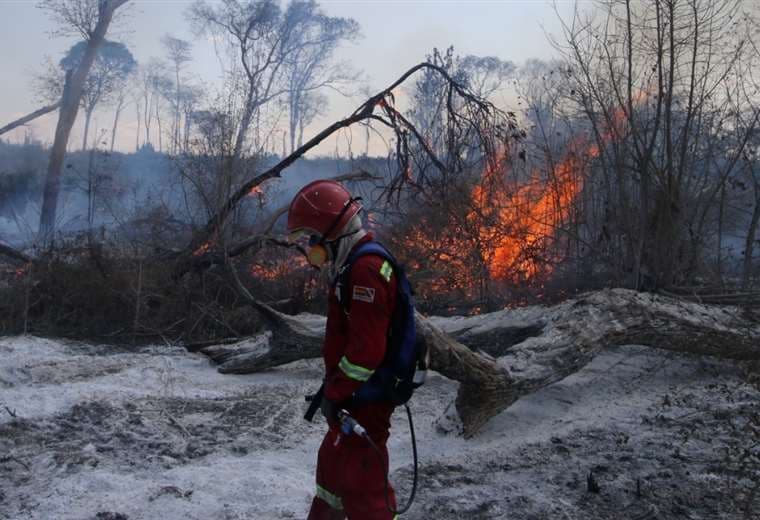 En 2020, ya se quemaron más de 2 millones de hectáreas. Foto referencial: Ipa Ibañez