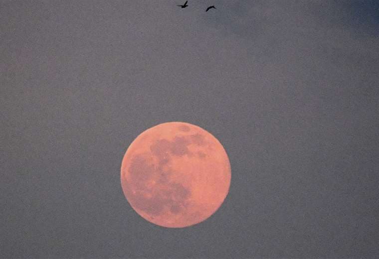 Imagen referencial de la luna gusano (Foto: AFP)