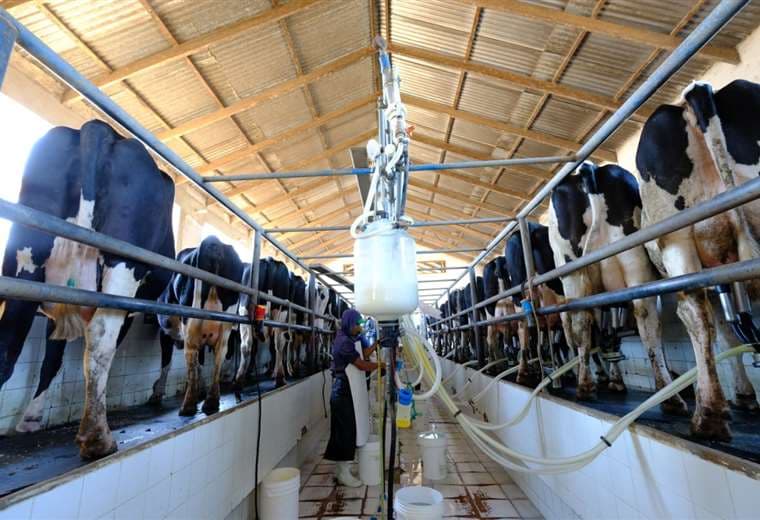Los productores lecheros hablan de buena relación con la industria 