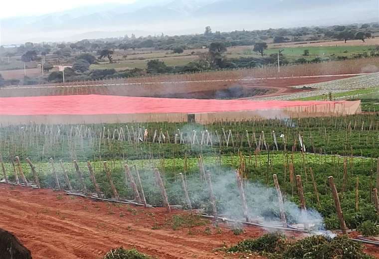 Para evitar que la helada dañe los cultivos, la Gobernación recomienda a los productores activar fuego para el humo evite que el frío queme los cultivos 
