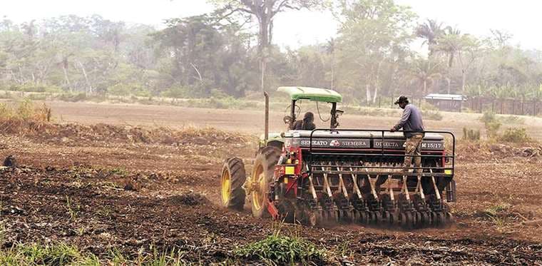Beni apuesta por la agricultura para diversificar su economía /Foto: Hernán Virgo 