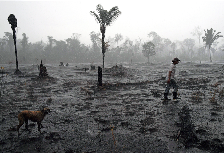 Un agricultor brasileño y su perro caminan por una zona quemada de la selva amazónica, cerca de Porto Velho, estado de Rondonia en Brasil. Foto. AFP 