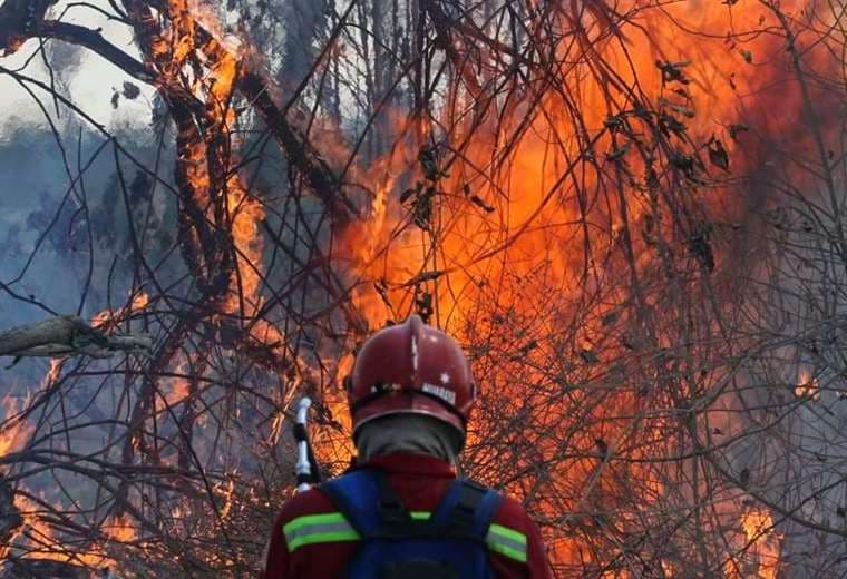 Los incendios forestales afectan a 17 territorios indígenas. Foto: Archivo
