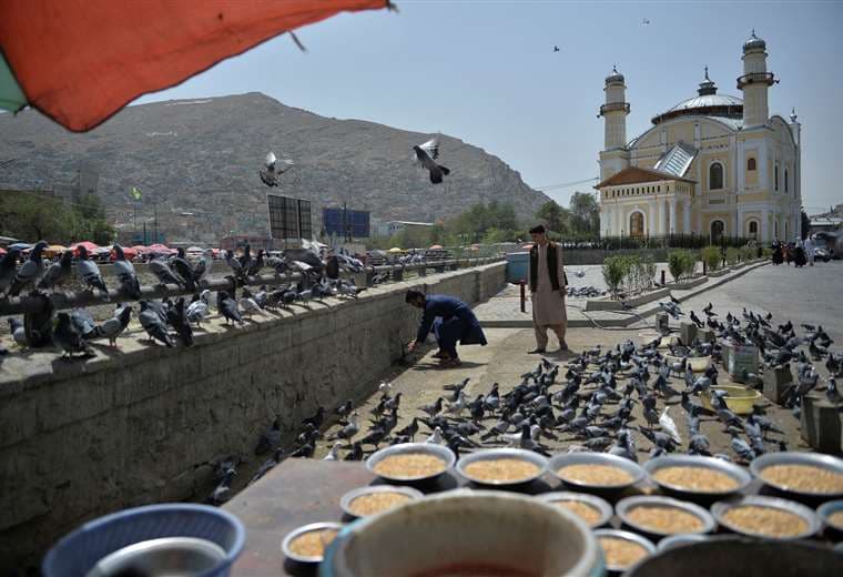 Kabul controlada por talibanes/Foto: AFP