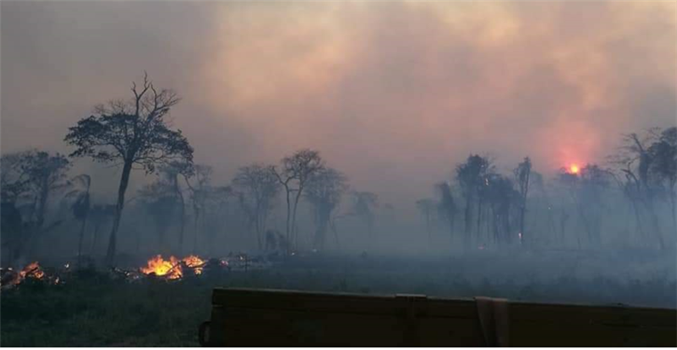 Incendio forestal en Cáceres (Brasil)