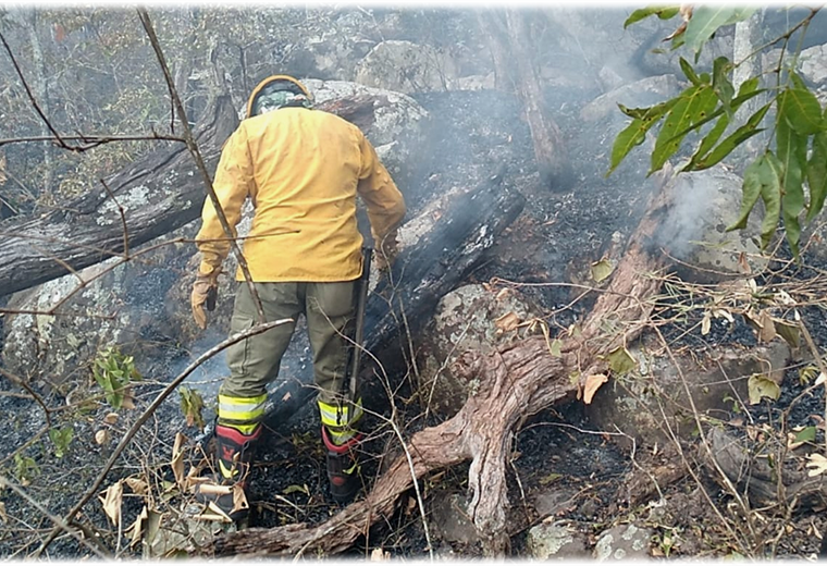 Los incendios en la zona de Roboré fueron controlados. Foto. Gobernación 