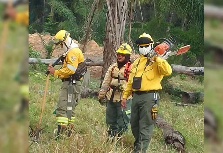 Bomberos forestales apagaron incendios en San Carlos/Foto: Soledad Prado