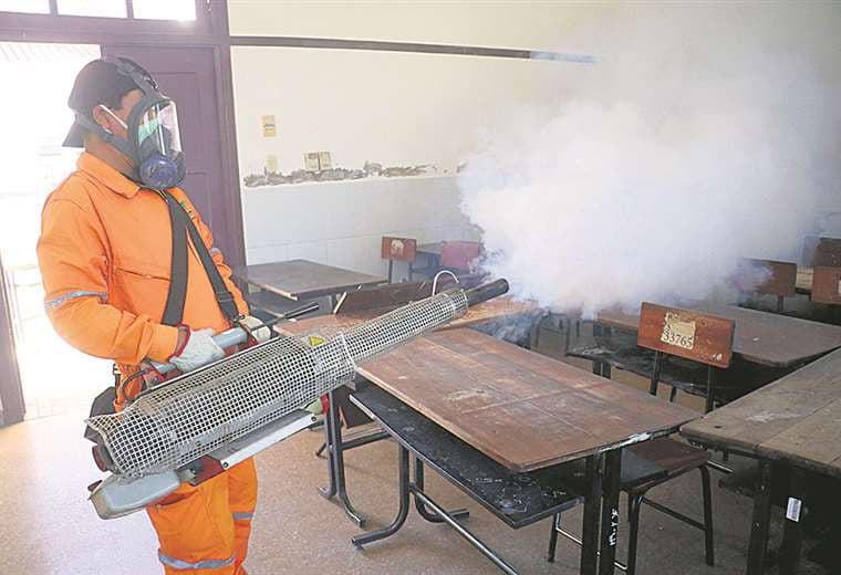 El municipio intensifica las tareas de eliminación del mosquito / Foto: Juan Carlos Torrejón