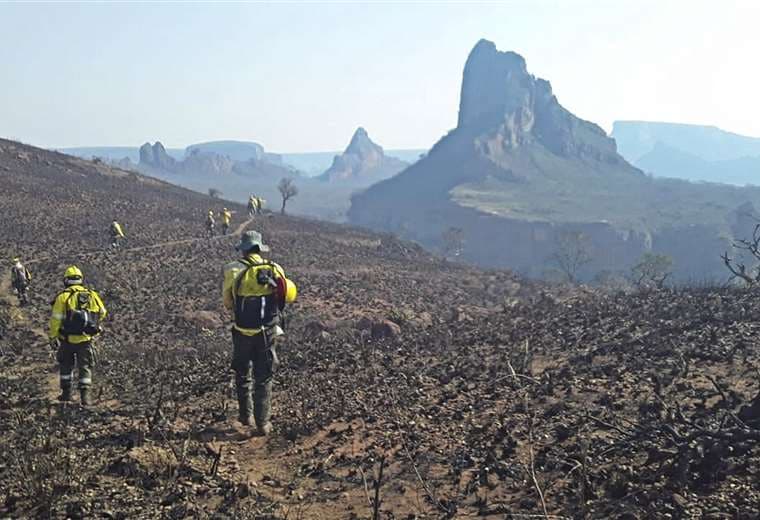 Un área devastada por incendios forestales en la Chiquitanía