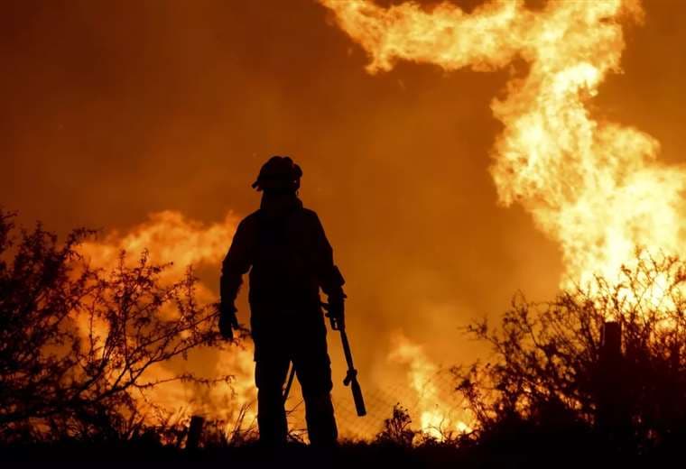 Bomberos combaten un incendio forestal