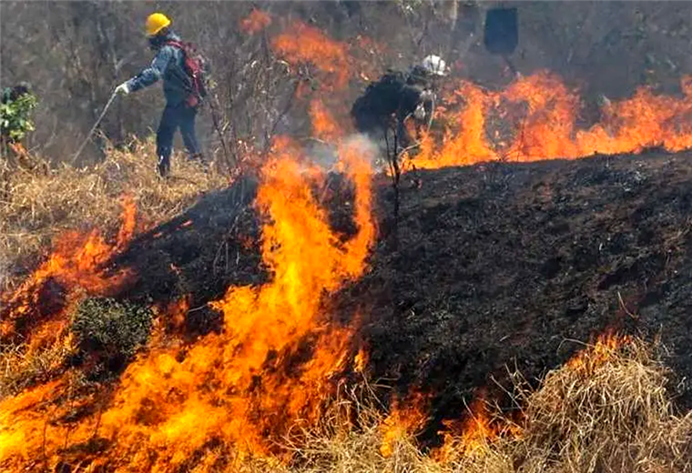 El fuego consume pastizales en gran parte del departamento de Santa Cruz 
