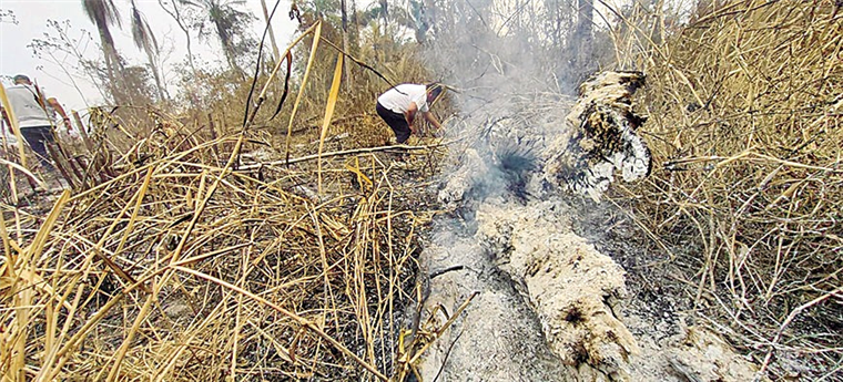 El fuego afecta a 3 millones de hectáreas en Santa Cruz, un 40% corresponde a áreas boscosas