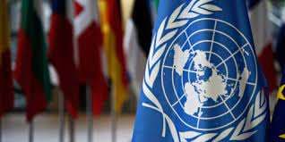 Relatora de ONU pide tomar medidas urgentes para garantizar elecciones sin restricciones