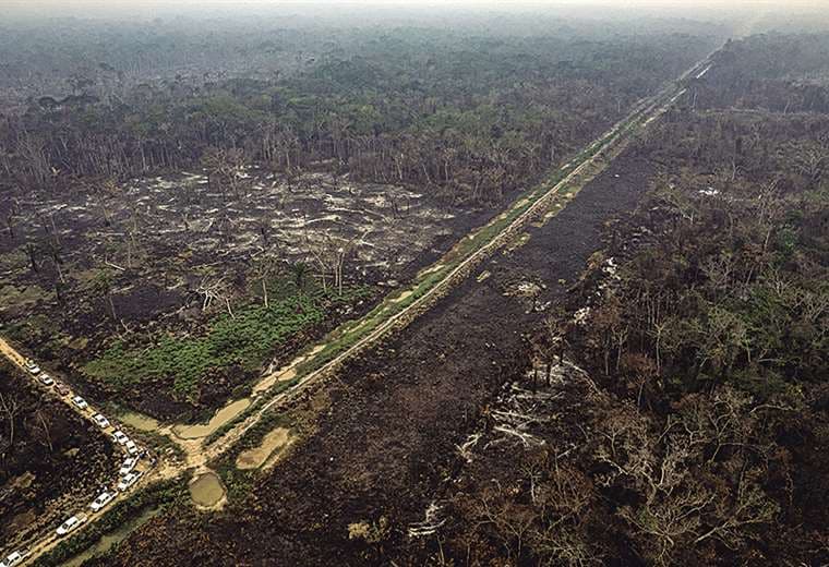 Toma aérea de una de las zonas quemadas de la Reserva del Choré