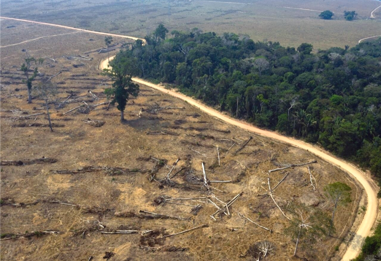 La Amazonia sufre por la deforestación. Foto. Internet 
