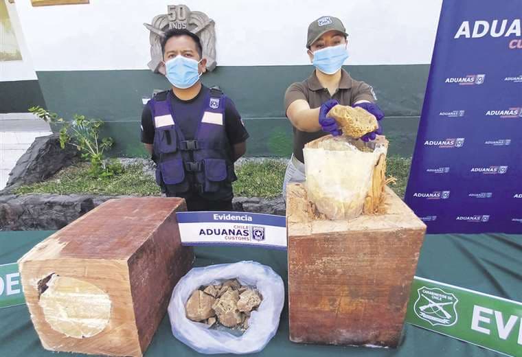 La organización del narcotráfico camufló en mediio de los postes de cuchi el cargamento 