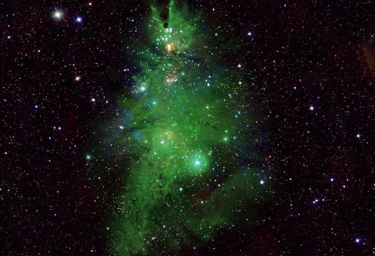 Imagen de un árbol cósmico con el brillo de las luces estelares / NASA