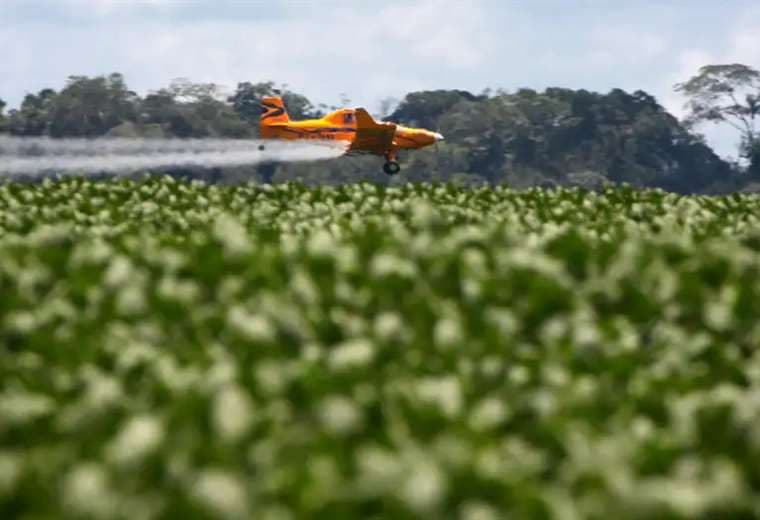 Un avión aplica agroquímicos a una plantación de soja en Mato Grosso / Greenpeace