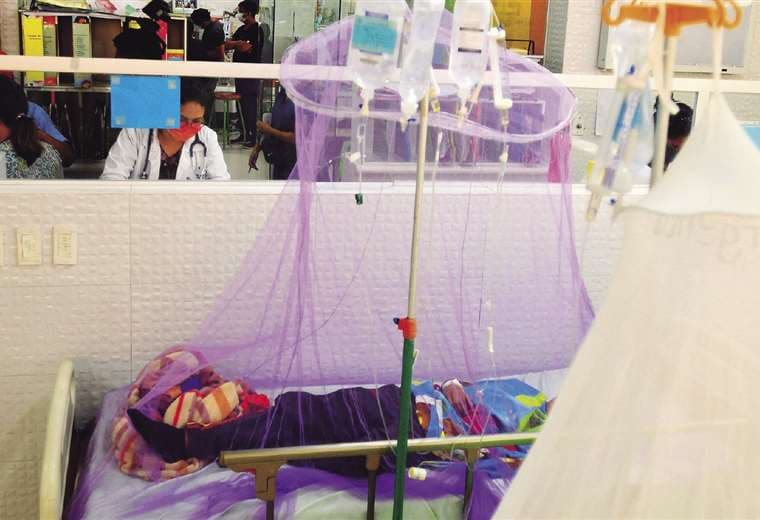 El dengue preocupa a las autoridades de salud, que piden no automedicarse