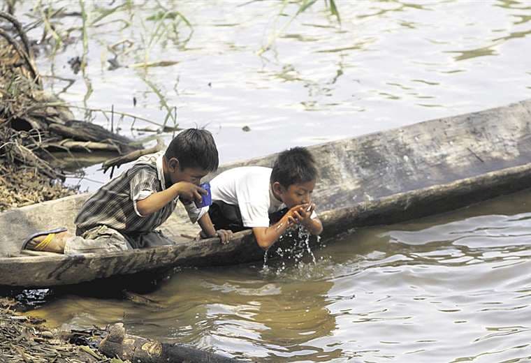 Los niños del Tipnis deben beber agua del río por tener servicios.