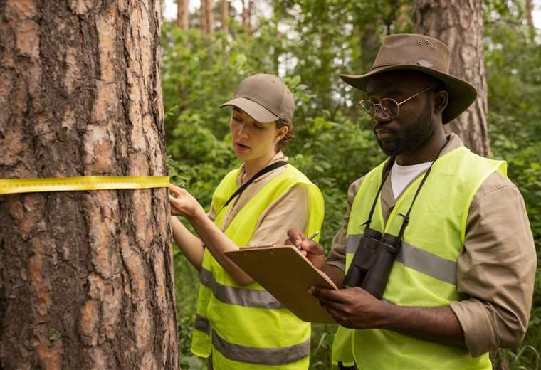 El sector forestal también promueve la conservación de los bosques / Foto: Cámara Forestal