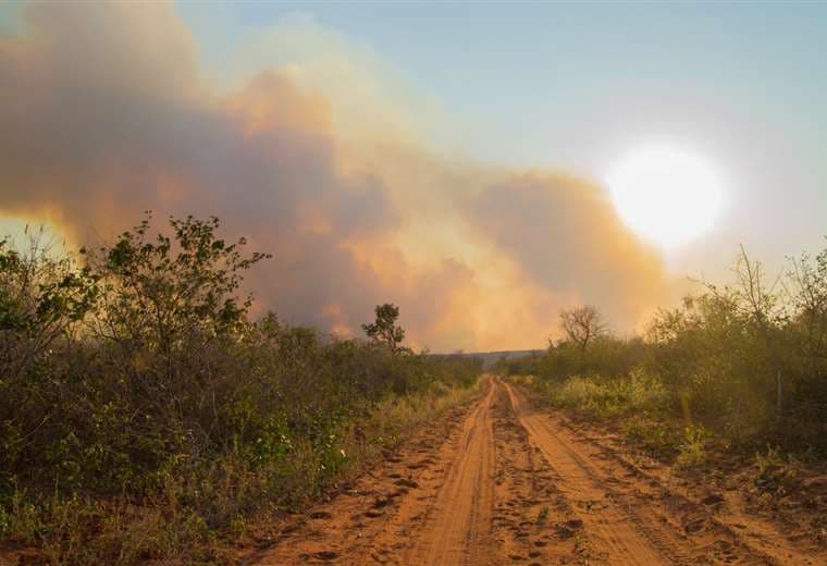 Incendios forestales en el departamento cruceño/ Foto: Gobernación de Santa Cruz