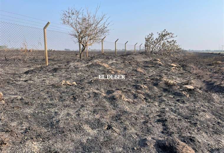 Los restos de pastizales afectados por el incendio/Foto: EL DEBER