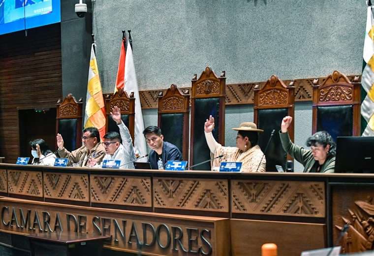 Senado prevé tratar la adhesión de Bolivia al Mercosur antes del viaje de Arce a la cumbre de jefes de Estado