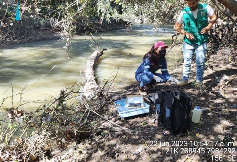 En junio de 2023 se produjo una mortandad de peces en los ríos de Tucabaca/Foto: DVT