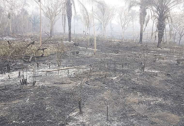 Incendios forestales