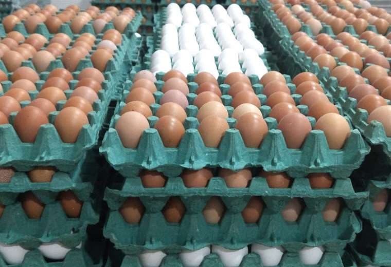 El 60% de la producción de huevos corresponde a Santa Cruz