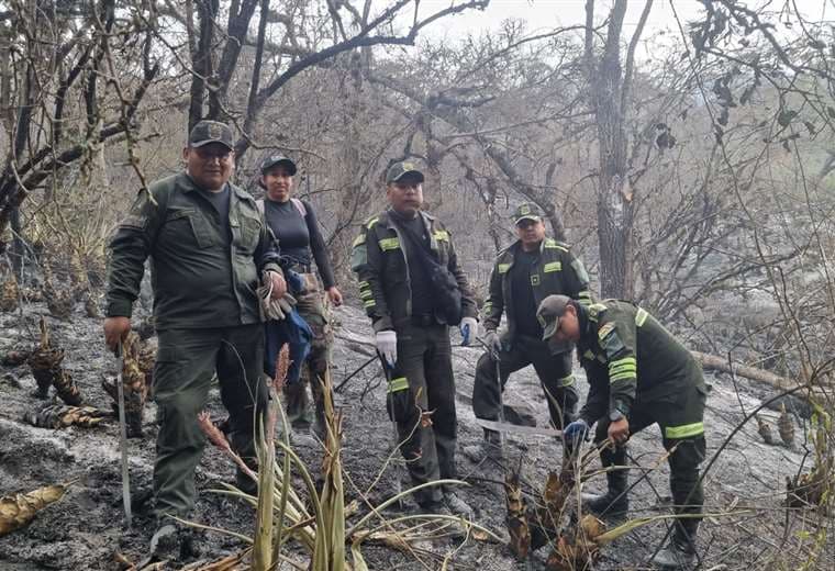 Foto: Policía