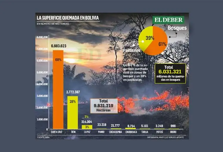 Incendios: Bolivia pierde 6 millones de hectáreas de bosque, equivalente a la superficie de Pando 