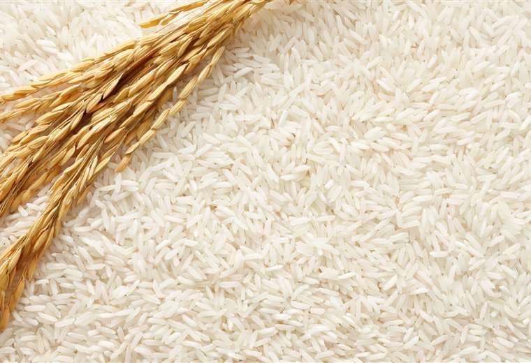 Gobierno lanza decreto para importación de arroz con “arancel cero” y anuncia compras por Bs 397 millones en el exterior