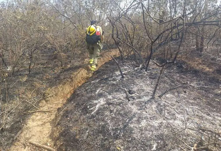 Foto: Gobernación