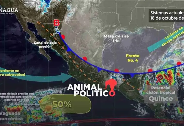 México reporta formación de ciclón tropical Quince en Caribe . Animal Político