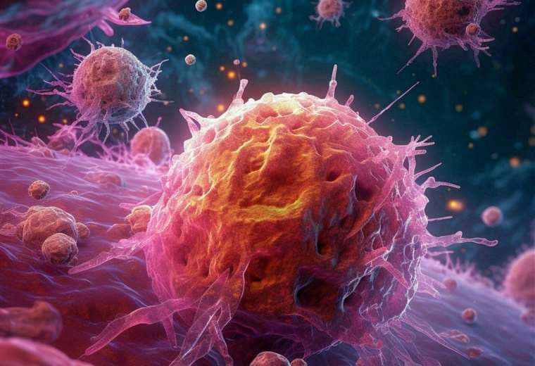 Las células del cáncer usan las proteínas del cuerpo para ocultarse de sistema inmunitario