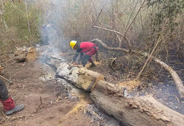 Santa Cruz: bajan los incendios, pero la devastación supera las 8 millones de hectáreas