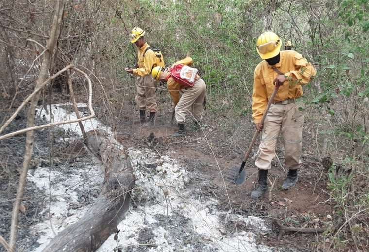 Reducen a tres los incendios forestales en Santa Cruz