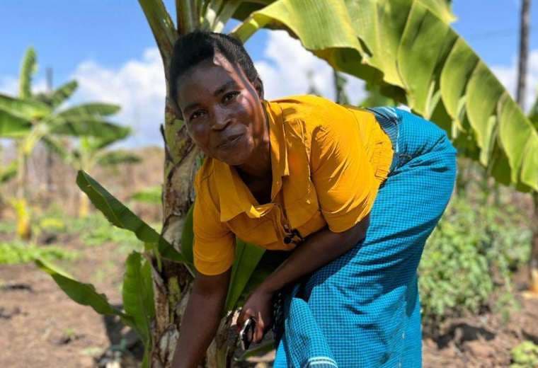 "La gente siente curiosidad y, cuando lo prueba, se sorprende de lo bueno que es": agricultoras que hacen vino con bananas para salvar sus cultivos