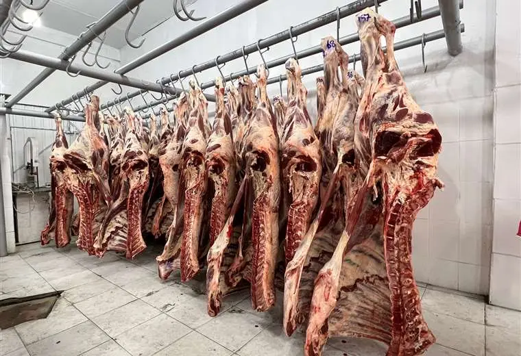 Fegasacruz: bloqueos impiden cumplir contratos de exportación de carne y ponen en riesgo mercados 