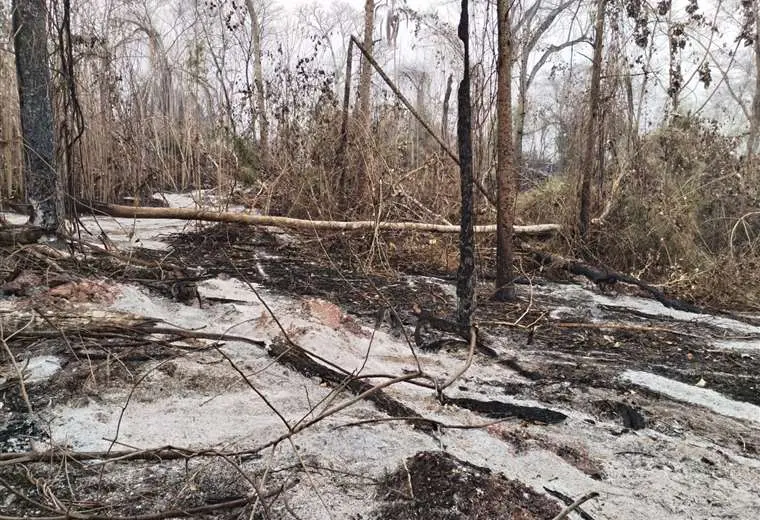 El área de restauración de la comunidad Río Blanco quedó en cenizas. Foto: Apcob