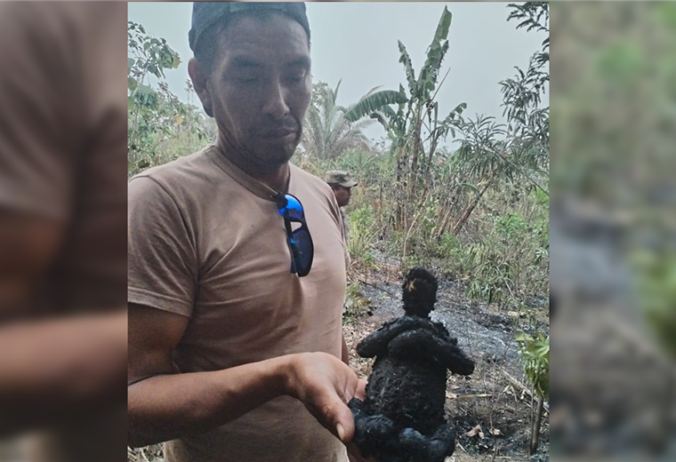 Animales sufren y mueren a causa de los incendios en Guarayos