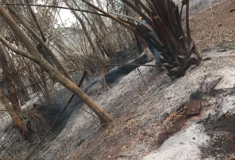 Los incendios continúan devastando Roboré. 