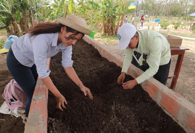 Los huertos ecológicos enseñan a la población a desarrollar actividades agroecológicas