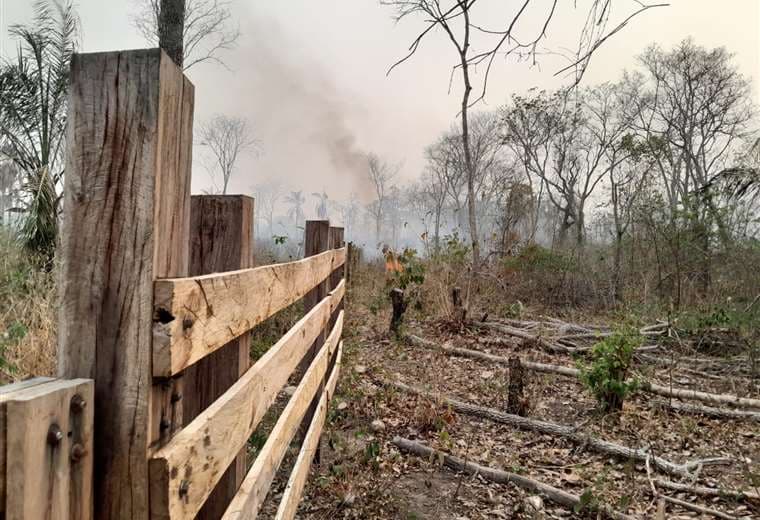 Ganaderos preocupados por pérdidas y notificaciones en medio de los incendios