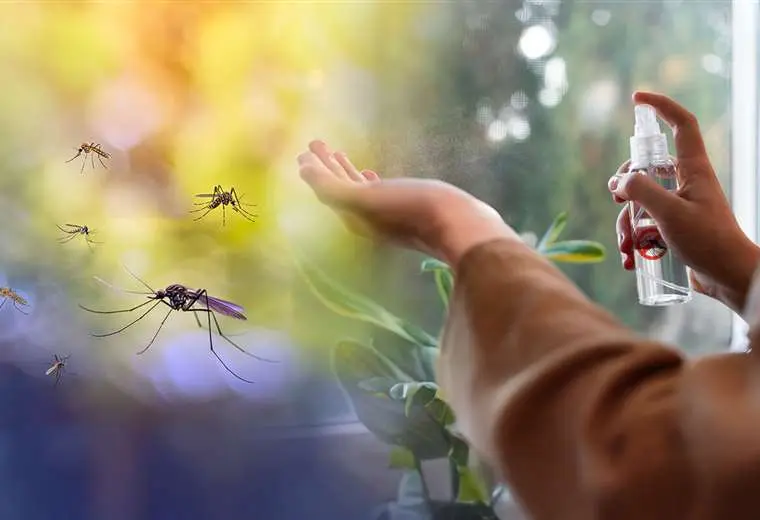 La enfermedad es endémica de las zonas amazónicas